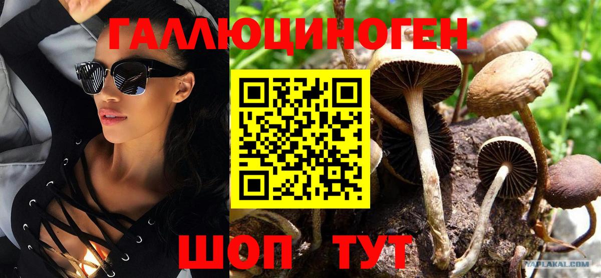 Псилоцибиновые грибы Cubensis  Псилоцибиновые грибы Magic Shrooms  Новокубанск  сколько стоит  Вход с VPN 