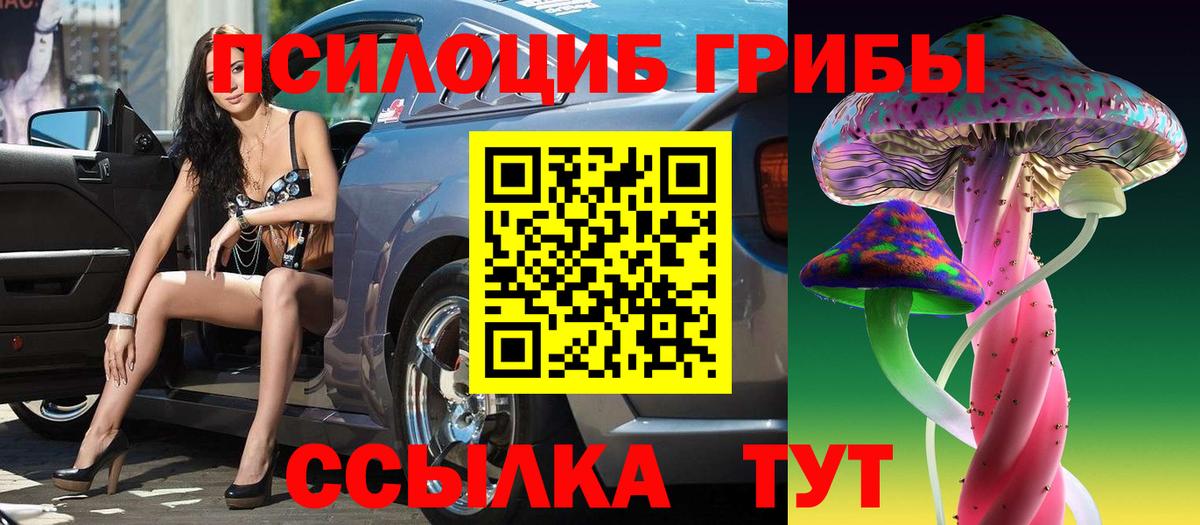 Галлюциногенные грибы Psilocybe Новокубанск